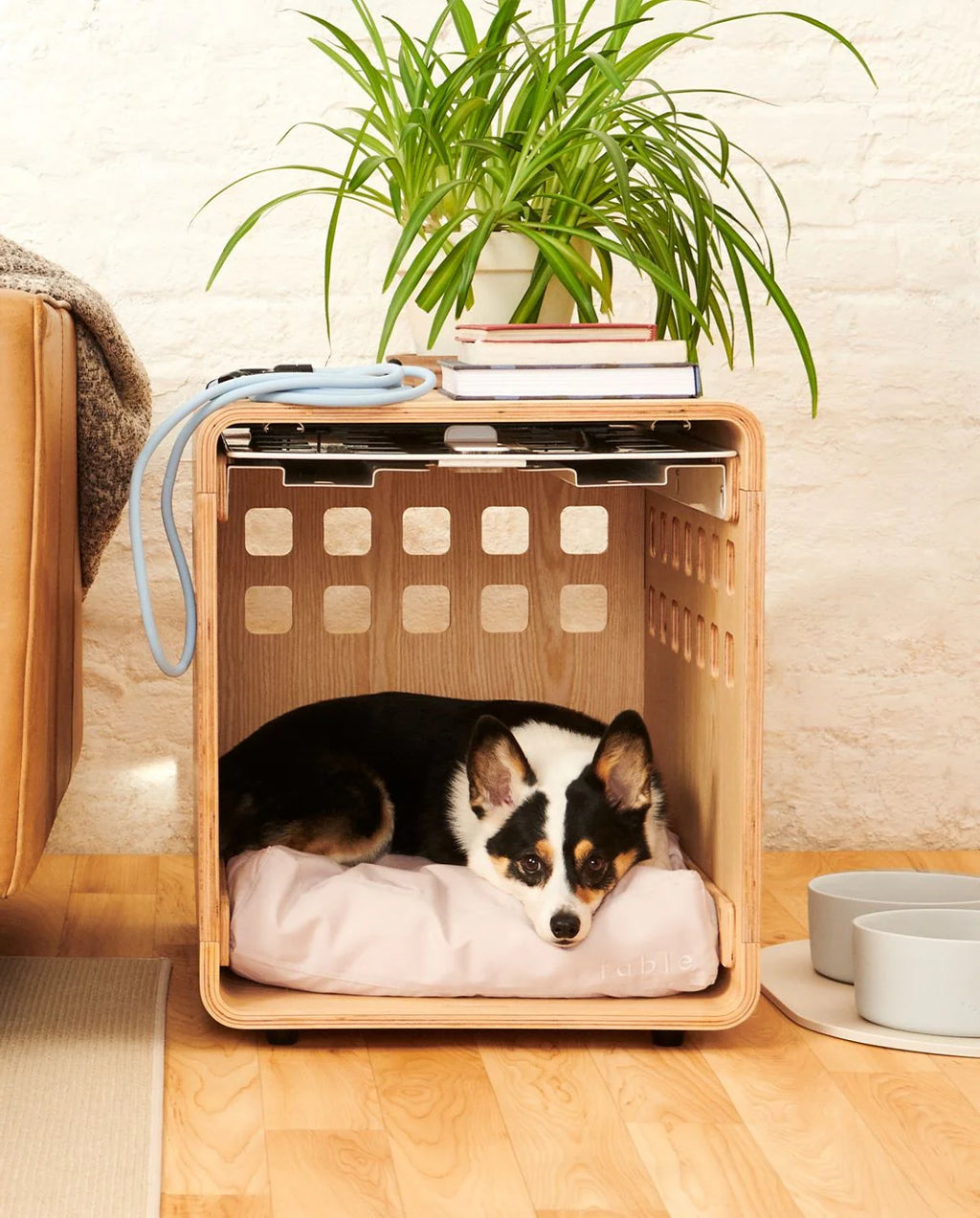 Crate Crate