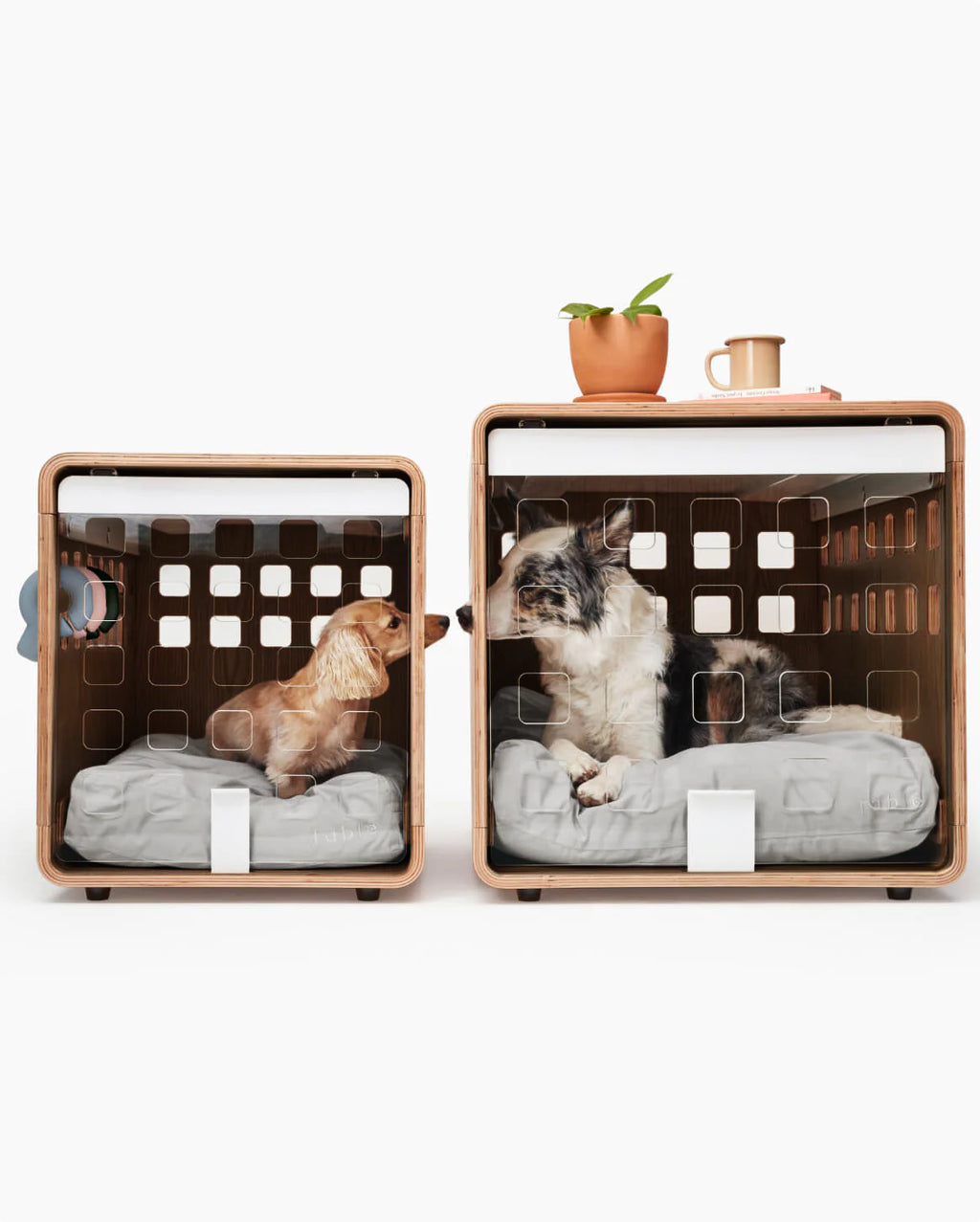 Crate Crate