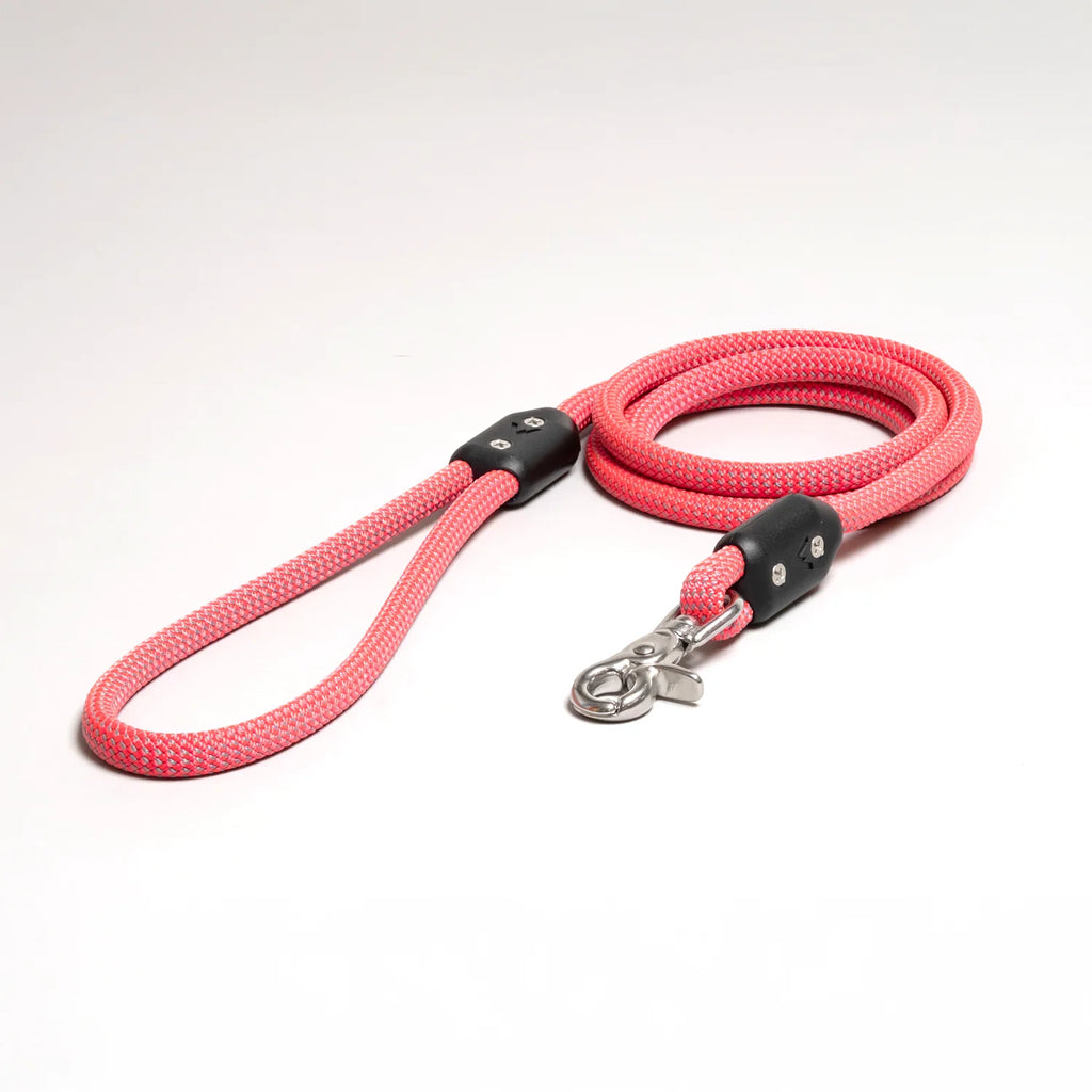 Lifetime Leash