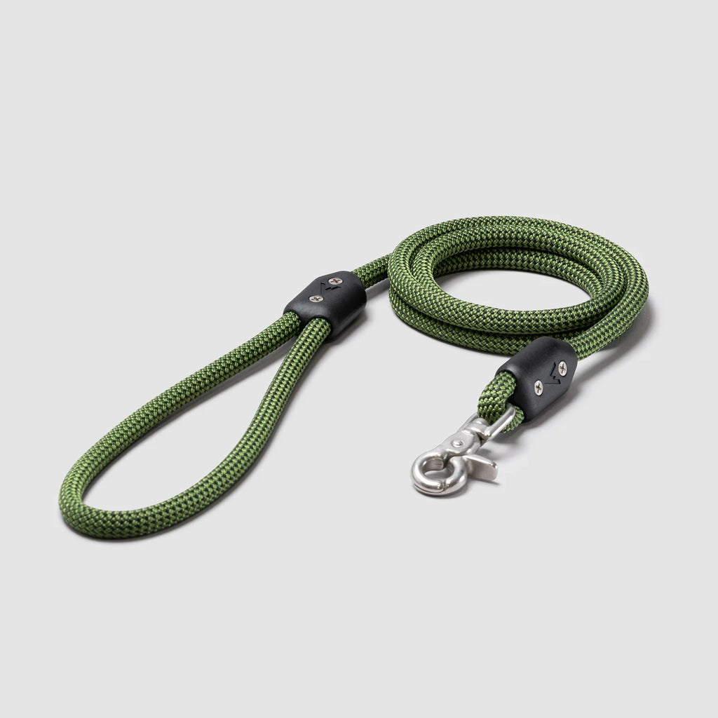 Lifetime Leash
