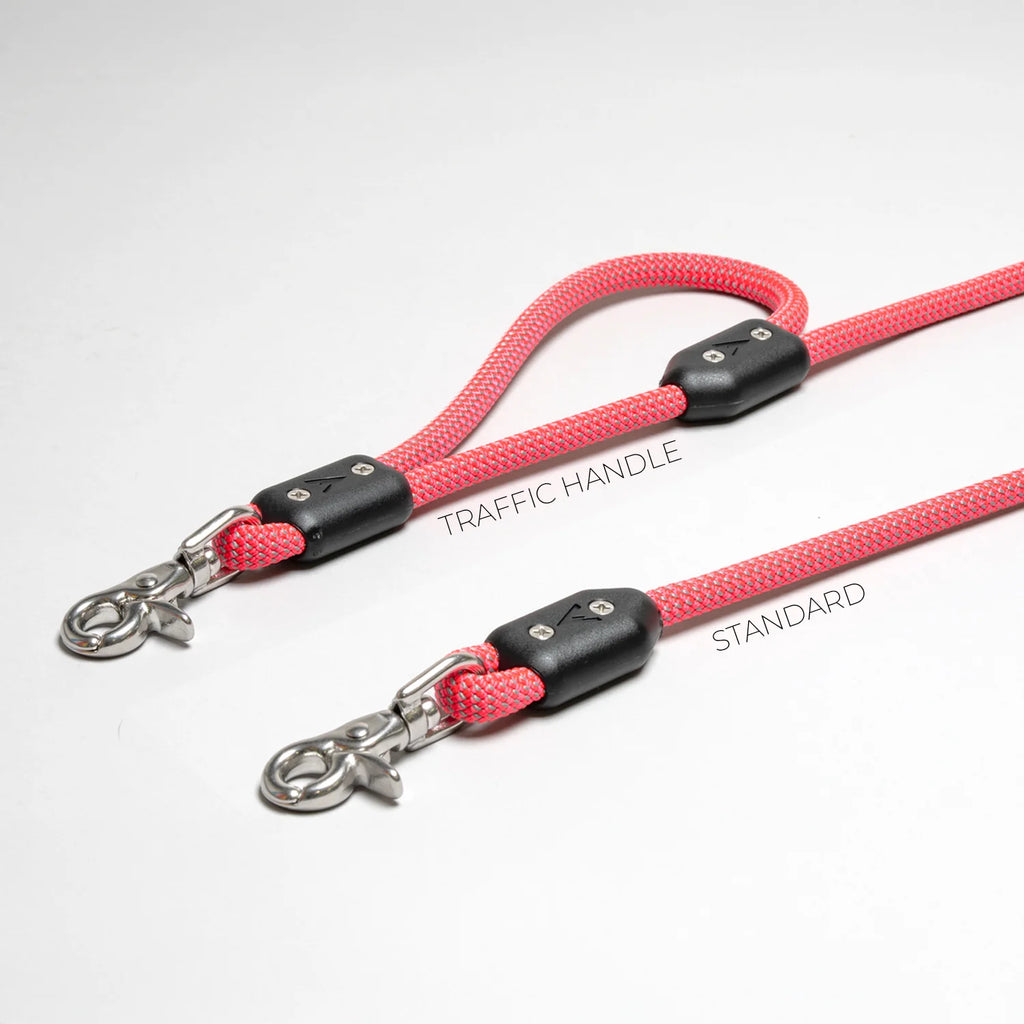 Lifetime Leash