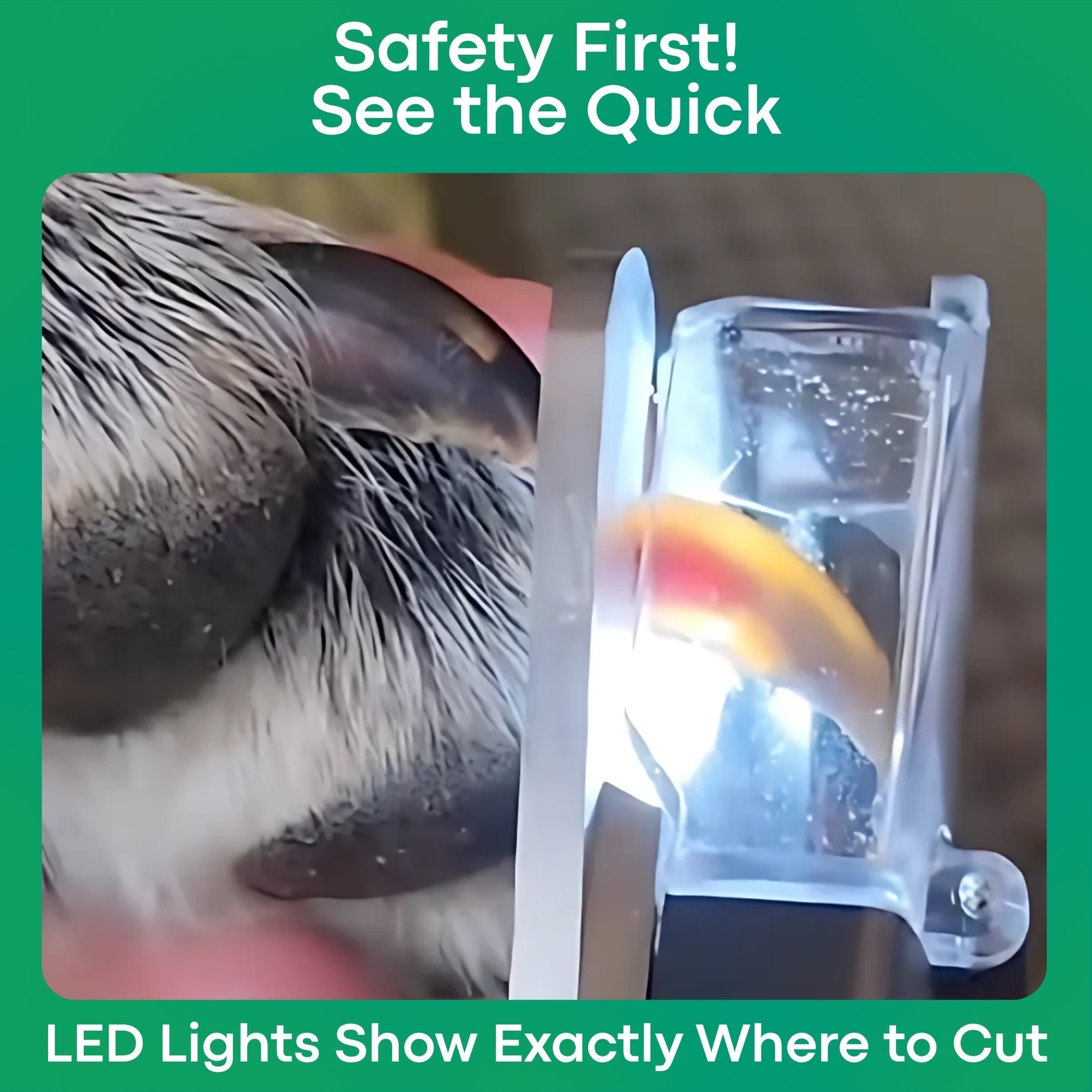 Safetrim | LED Pet Nail Clipper for Dogs & Cats, Safe Claw Grooming Tool