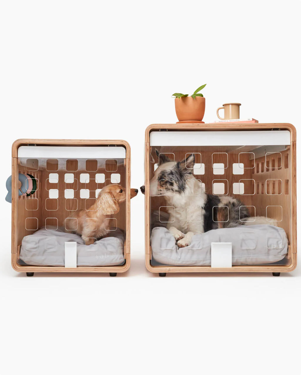 Crate Crate