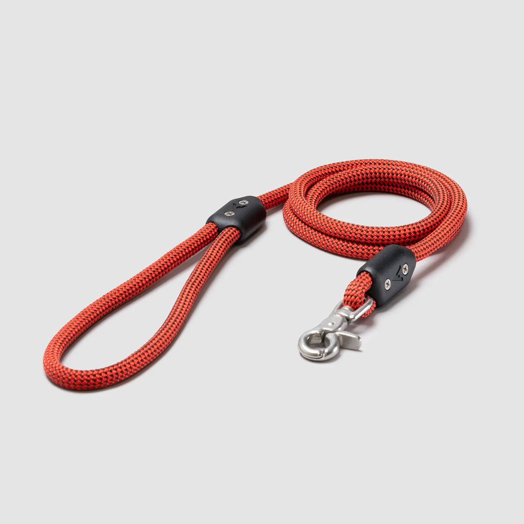 Lifetime Leash