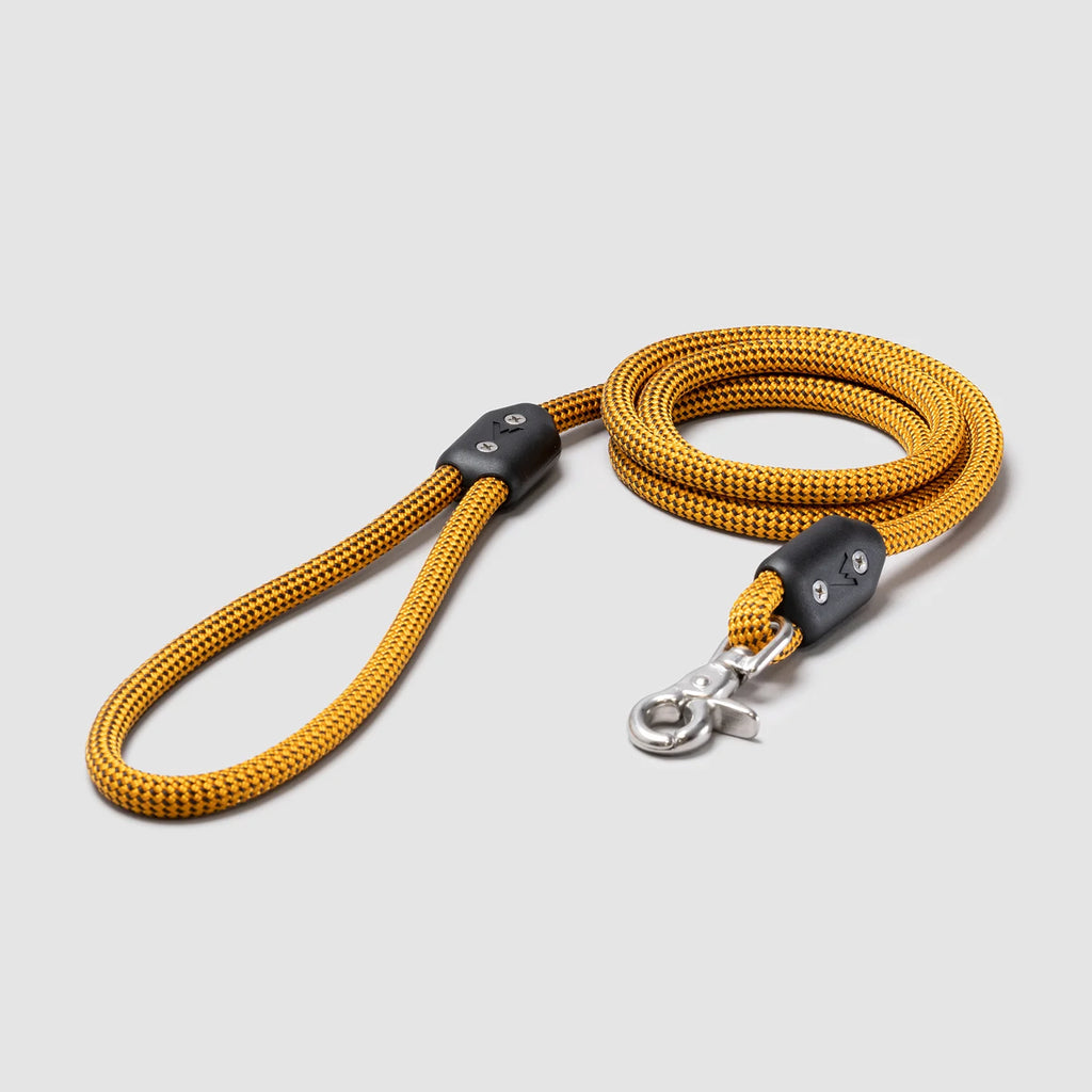 Lifetime Leash
