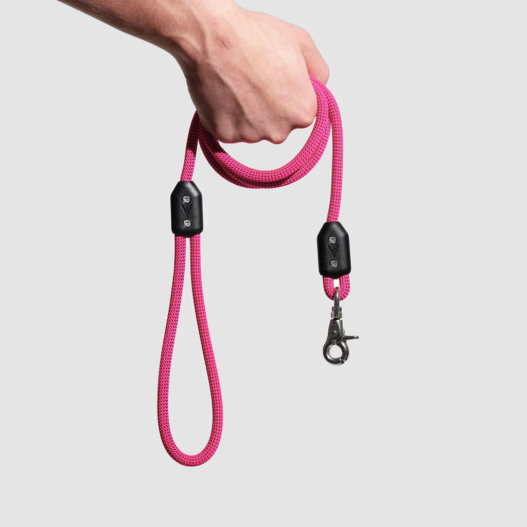 Lifetime Leash