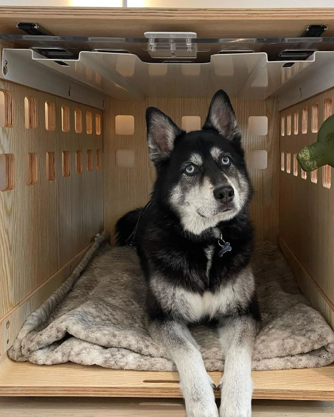 Crate Crate