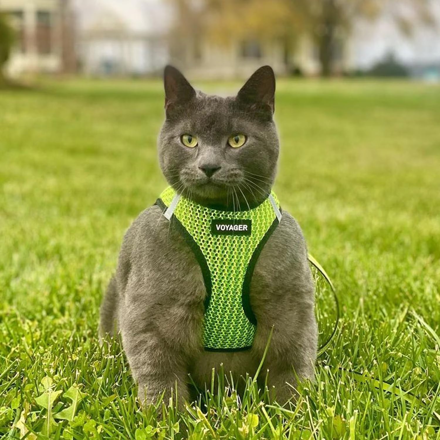 Step-In Air Mesh Dog Harness by Best Pet Supplies