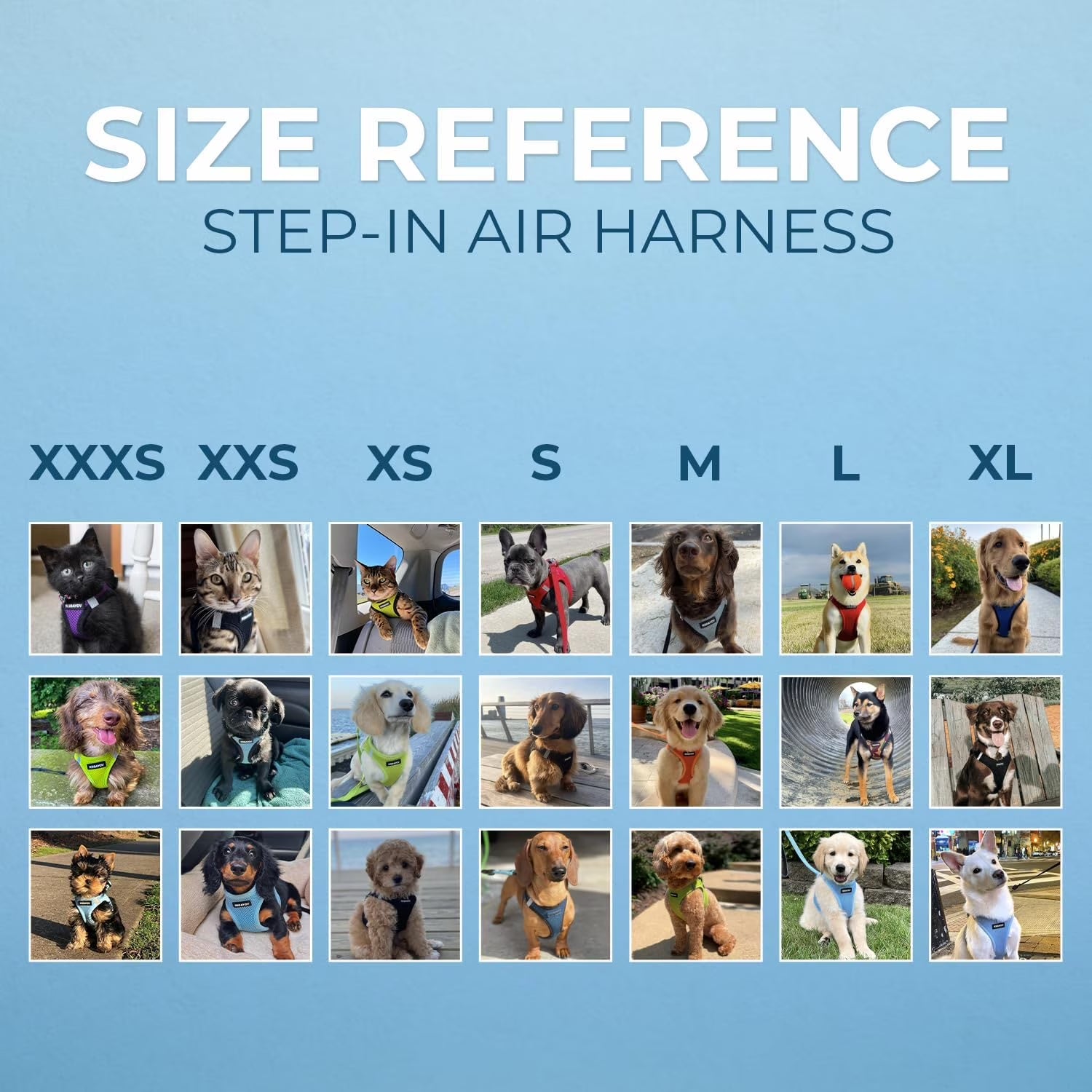 Step-In Air Mesh Dog Harness by Best Pet Supplies