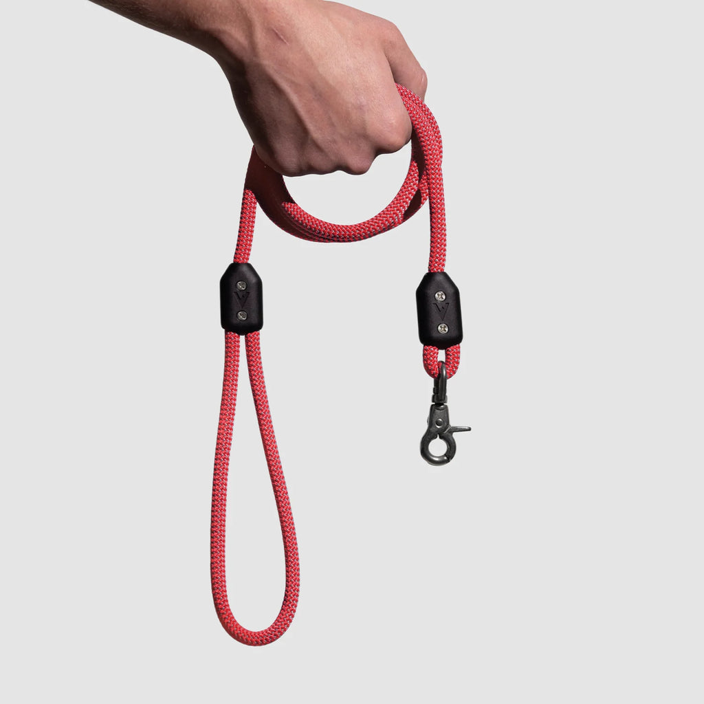 Lifetime Leash