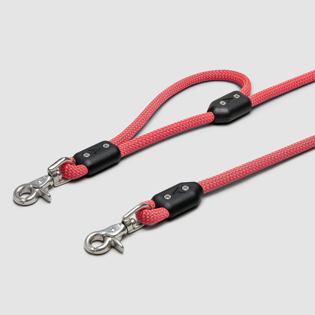 Lifetime Leash