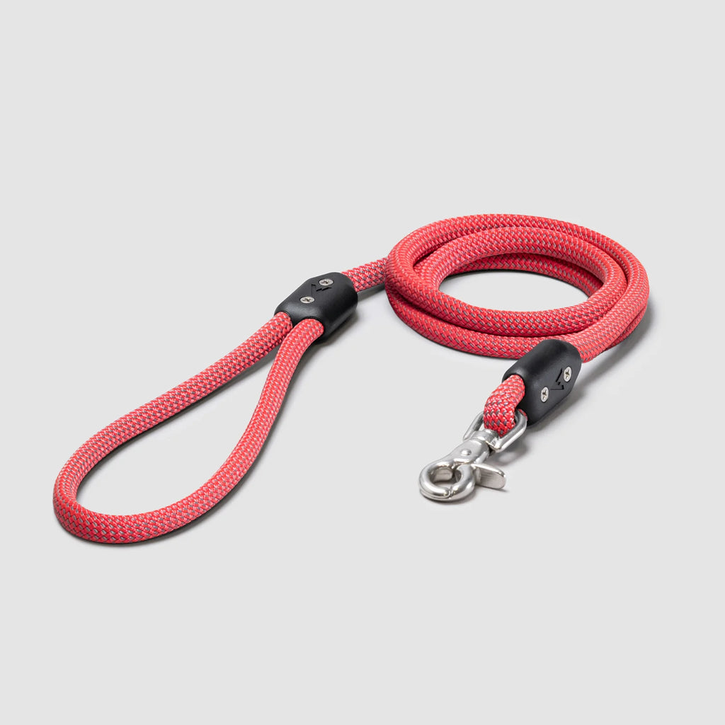 Lifetime Leash