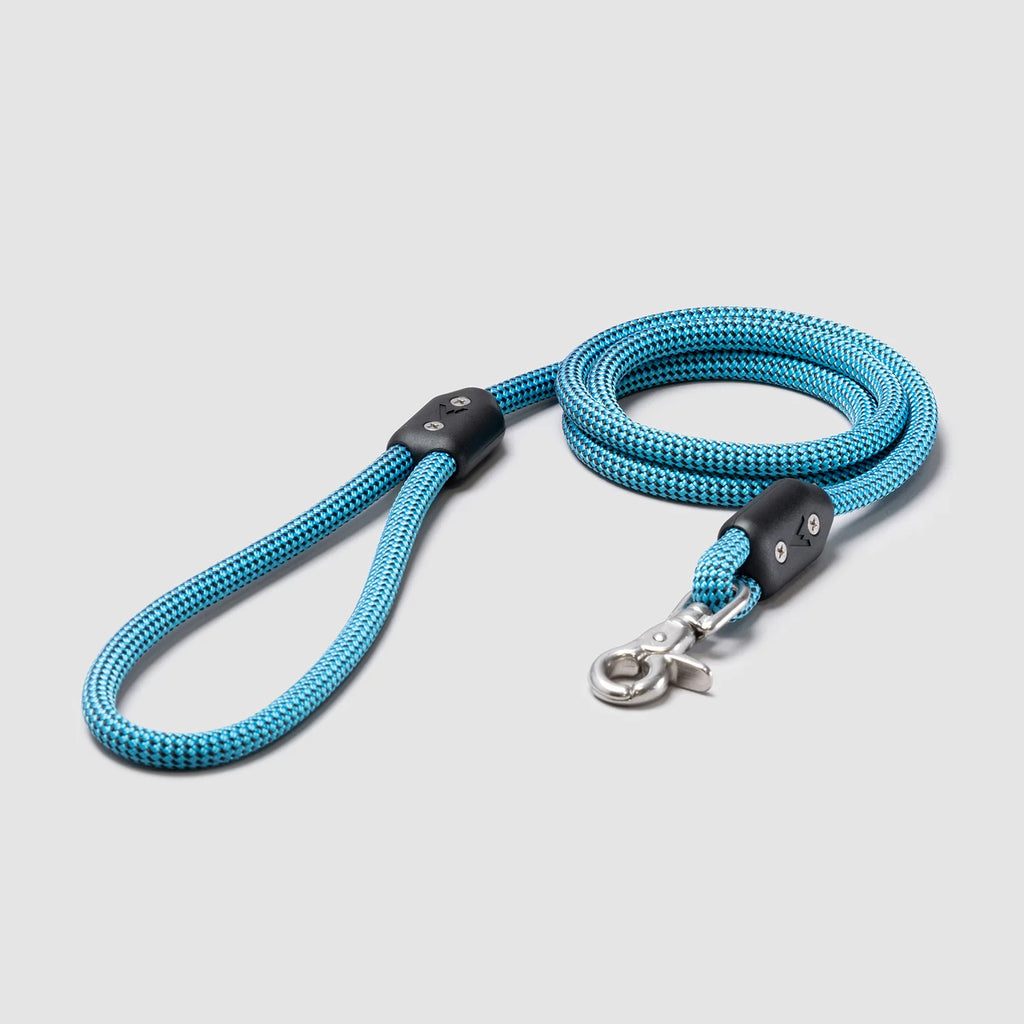 Lifetime Leash